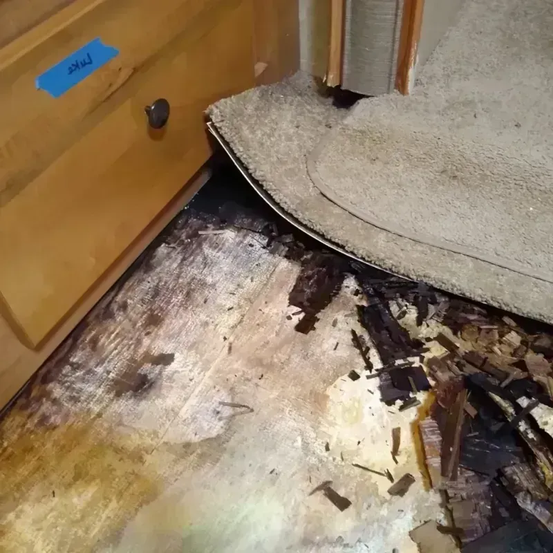 Wood Floor Water Damage in Sarasota County, FL